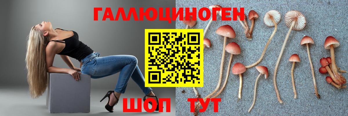 Псилоцибиновые грибы Cubensis  Вход с VPN  купить наркоту  Галлюциногенные грибы мухоморы  Орск 